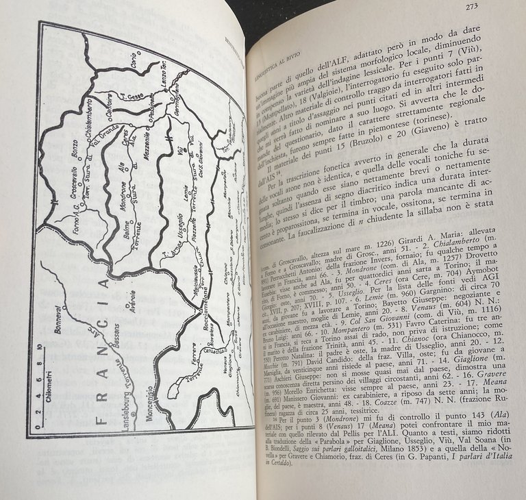 LINGUISTICA AL BIVIO. RACCOLTA DI SAGGI.