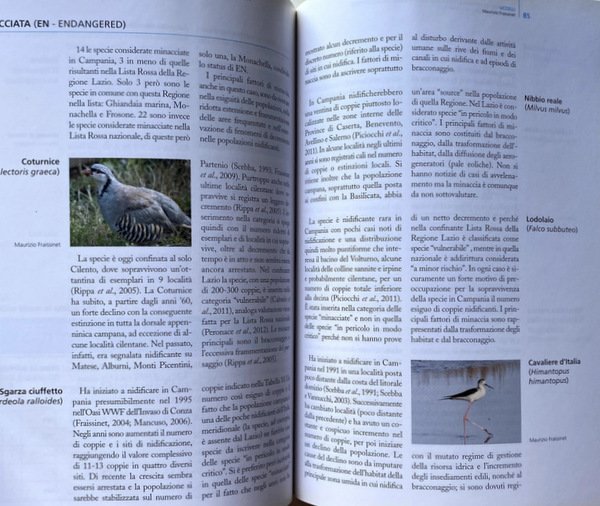 LISTA ROSSA DEI VERTEBRATI TERRESTRI E DULCIACQUICOLI DELLA CAMPANIA. A …