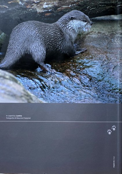 LISTA ROSSA DEI VERTEBRATI TERRESTRI E DULCIACQUICOLI DELLA CAMPANIA. A …