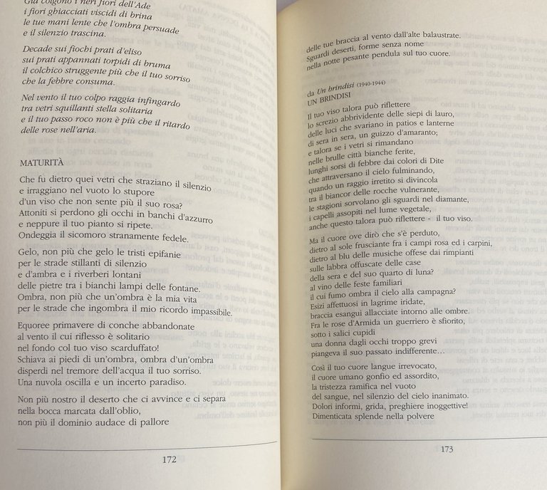 MARIO LUZI DA EBE A CONSTANT: STUDI E TESTI