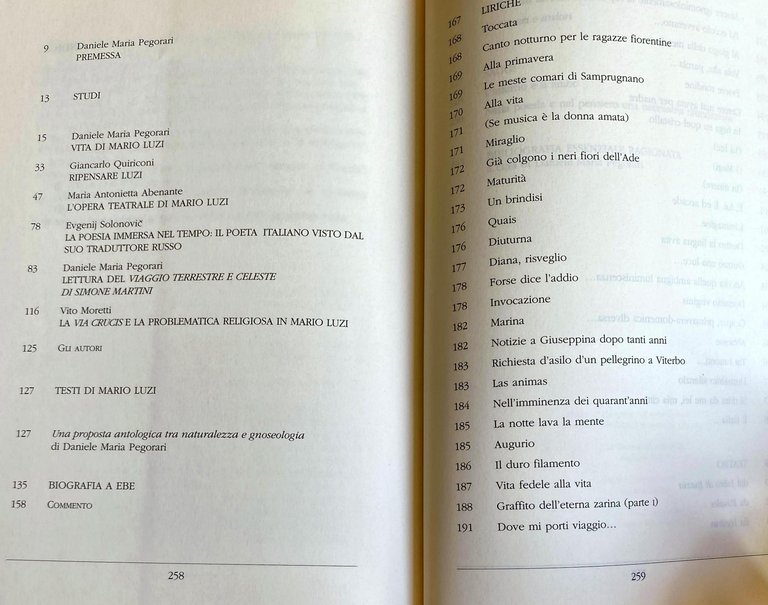 MARIO LUZI DA EBE A CONSTANT: STUDI E TESTI