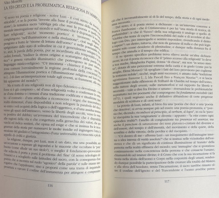 MARIO LUZI DA EBE A CONSTANT: STUDI E TESTI