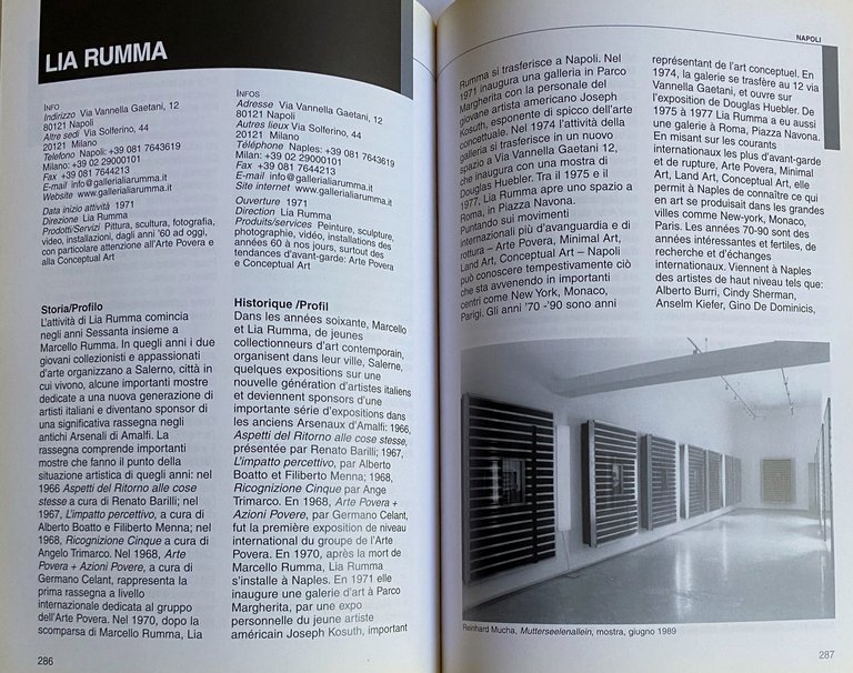 MEDITERRANEO LE GALLERIE D'ARTE MODERNA E CONTEMPORANEA IN CAMPANIA. (Edizione …