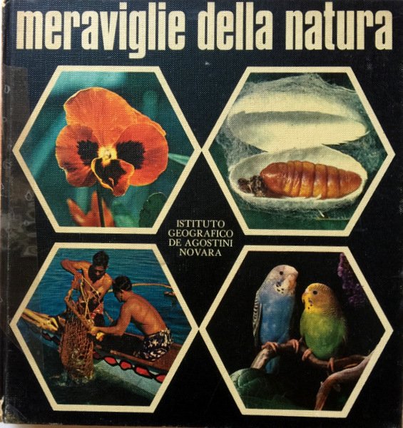 MERAVIGLIE DELLA NATURA: I VEGETALI