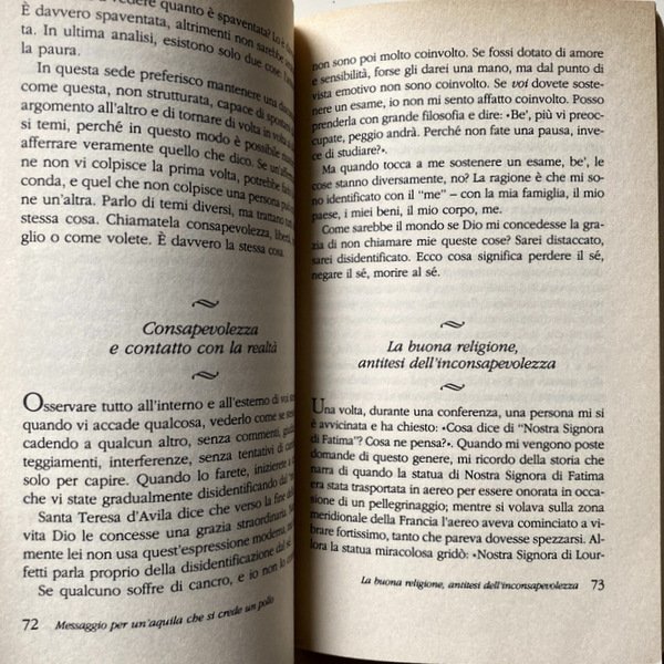 MESSAGGIO PER UN'AQUILA CHE SI CREDE UN POLLO. LA LEZIONE …