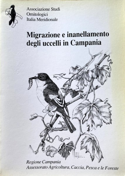 MIGRAZIONE E INANELLAMENTO DEGLI UCCELLI IN CAMPANIA. A CURA DI …