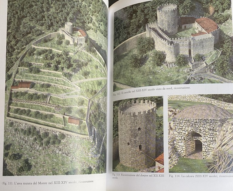 MONTELLA: RICERCHE ARCHEOLOGICHE NEL DONJON E NELL'AREA MURATA (1980-92 E …