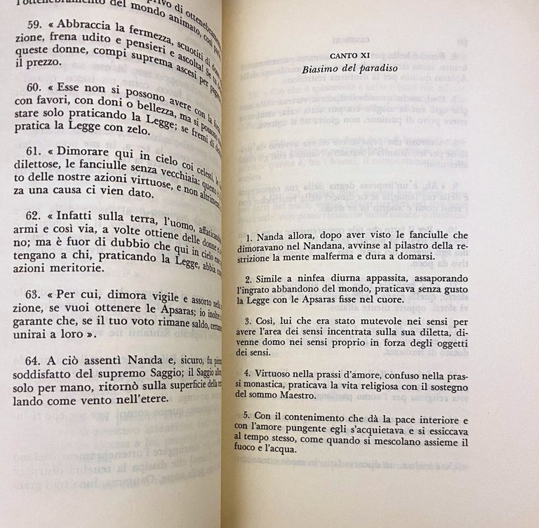 NANDA IL BELLO (SAUNDARANANDA-MAHAKAVYA)