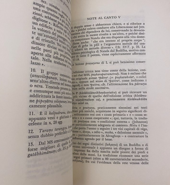 NANDA IL BELLO (SAUNDARANANDA-MAHAKAVYA)