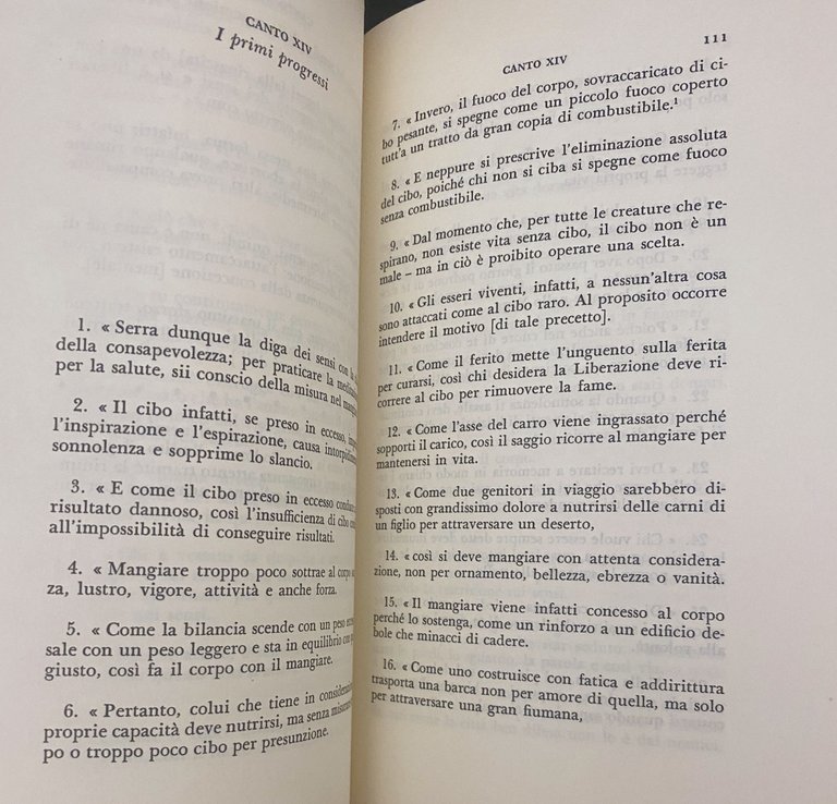 NANDA IL BELLO (SAUNDARANANDA-MAHAKAVYA)