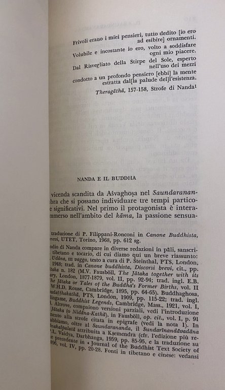 NANDA IL BELLO (SAUNDARANANDA-MAHAKAVYA)