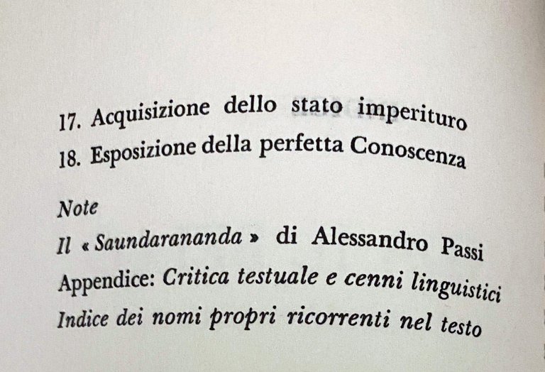 NANDA IL BELLO (SAUNDARANANDA-MAHAKAVYA)