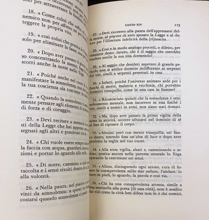 NANDA IL BELLO (SAUNDARANANDA-MAHAKAVYA)