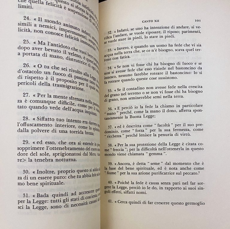 NANDA IL BELLO (SAUNDARANANDA-MAHAKAVYA)