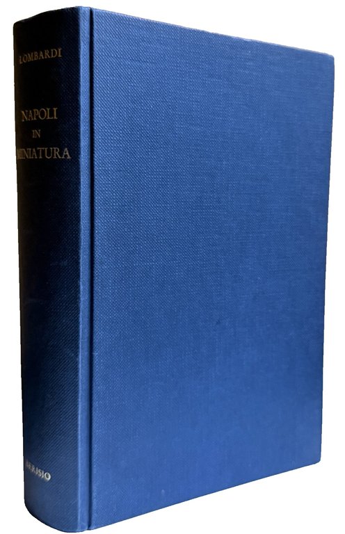 NAPOLI IN MINIATURA, OVVERO IL POPOLO DI NAPOLI ED I … | Immagine Gallery 4