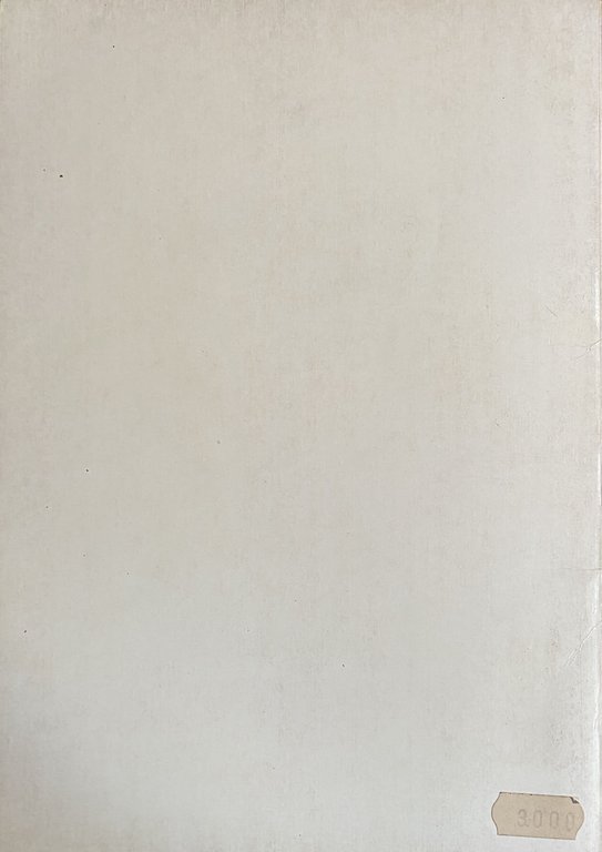 NAPOLI: LA RABBIA DEI QUARTIERI | Immagine Gallery 4