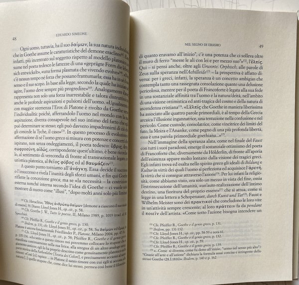 NEL SEGNO DI ERASMO. PHYLOLOGIA PERENNIS E IDENTITÀ CULTURALE EUROPEA