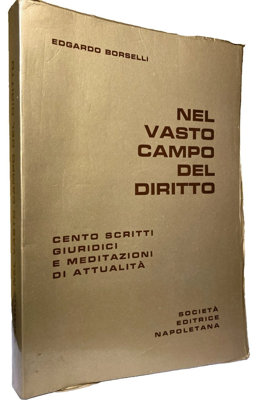 NEL VASTO CAMPO DEL DIRITTO. CENTO SCRITTI GIURIDICI E MEDITAZIONI … | Immagine principale