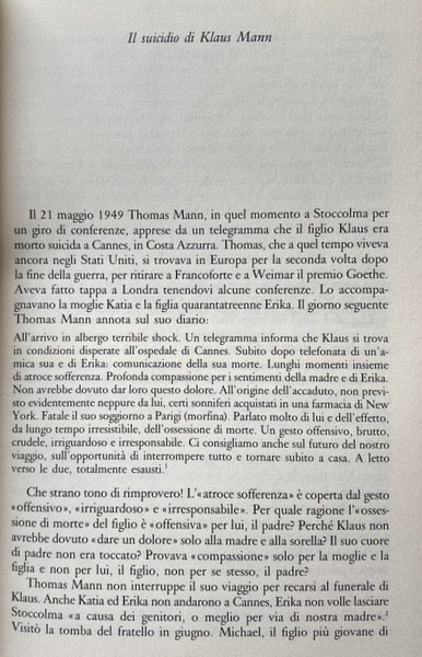 NELLA RETE DEI MAGHI. UNA STORIA DELLA FAMIGLIA MANN