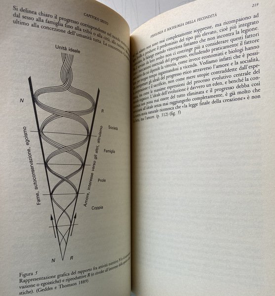 NONOSTANTE MALTHUS. FECONDITÀ, POPOLAZIONI E ARMONIA DELLA NATURA: 1700-1900