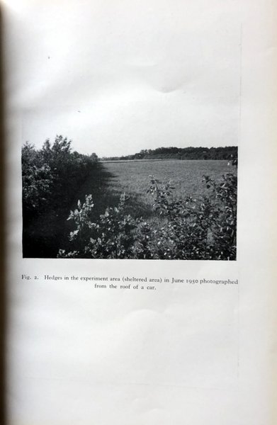 ON THE MICROCLIMATIC PROPERTIES OF SHELTERED AREAS. THE OAK-COPPICE SHELTERED …