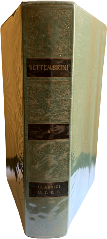 OPERE SCELTE DI LUIGI SETTEMBRINI | Immagine Gallery 3