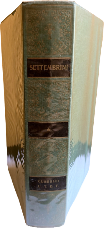 OPERE SCELTE DI LUIGI SETTEMBRINI | Immagine Gallery 5
