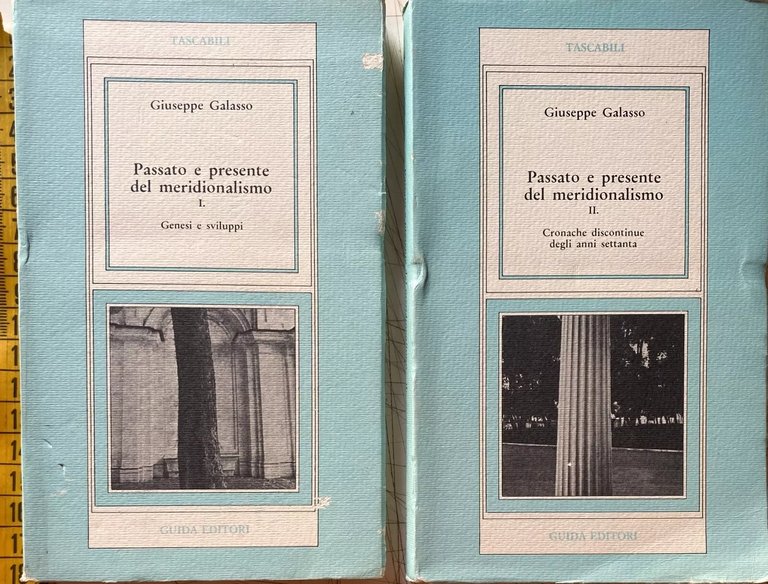PASSATO E PRESENTE DEL MERIDIONALISMO. GENESI E SVILUPPI, CRONACHE DISCONTINUE …