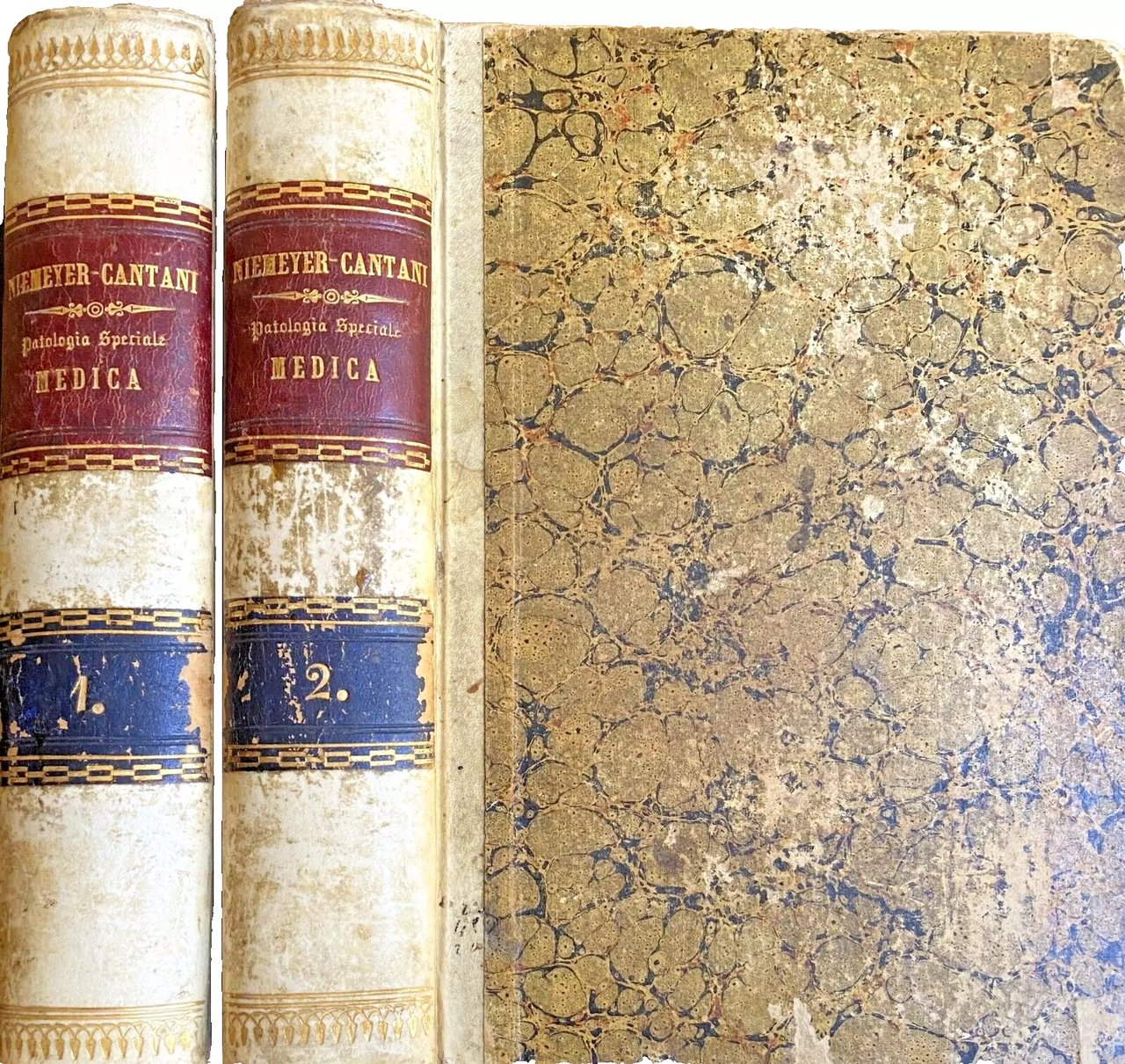 PATOLOGIA E TERAPIA SPECIALE, BASATE PARTICOLARMENTE SUI RECENTI PROGRESSI DELLA …