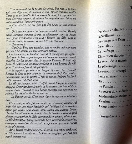 PÈLERINAGE D'UN ARTISTE AMOUREUX. ROMAN.