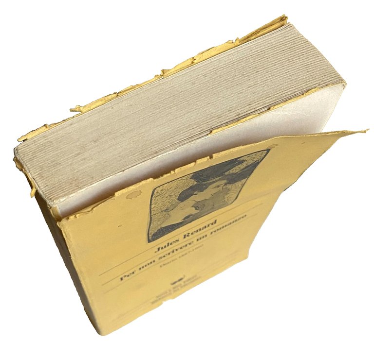 PER NON SCRIVERE UN ROMANZO. DIARIO 1887-1910