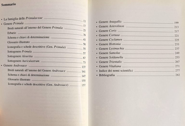 PRIMULACEAE D'ITALIA E DEI TERRITORI LIMITROFI | Immagine Gallery 11