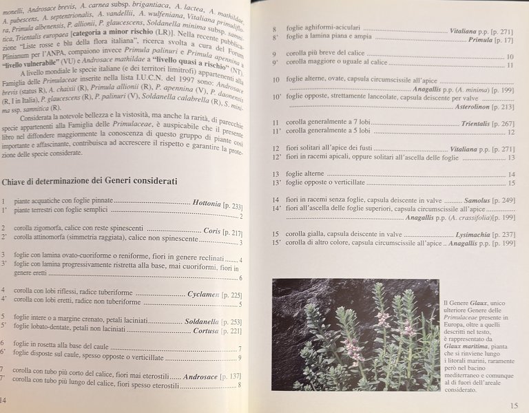 PRIMULACEAE D'ITALIA E DEI TERRITORI LIMITROFI | Immagine Gallery 13