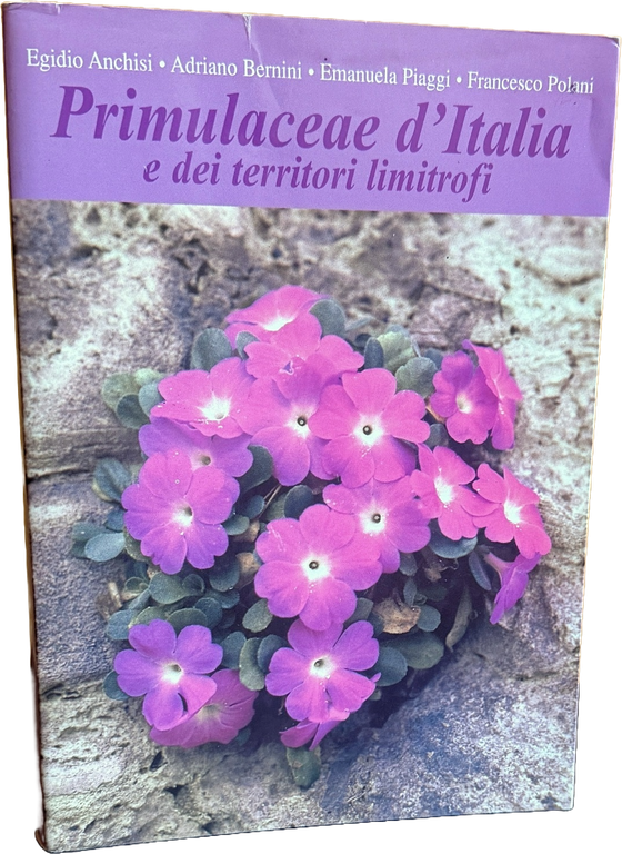 PRIMULACEAE D'ITALIA E DEI TERRITORI LIMITROFI | Immagine Gallery 4