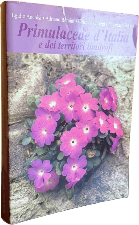 PRIMULACEAE D'ITALIA E DEI TERRITORI LIMITROFI | Immagine Gallery 5