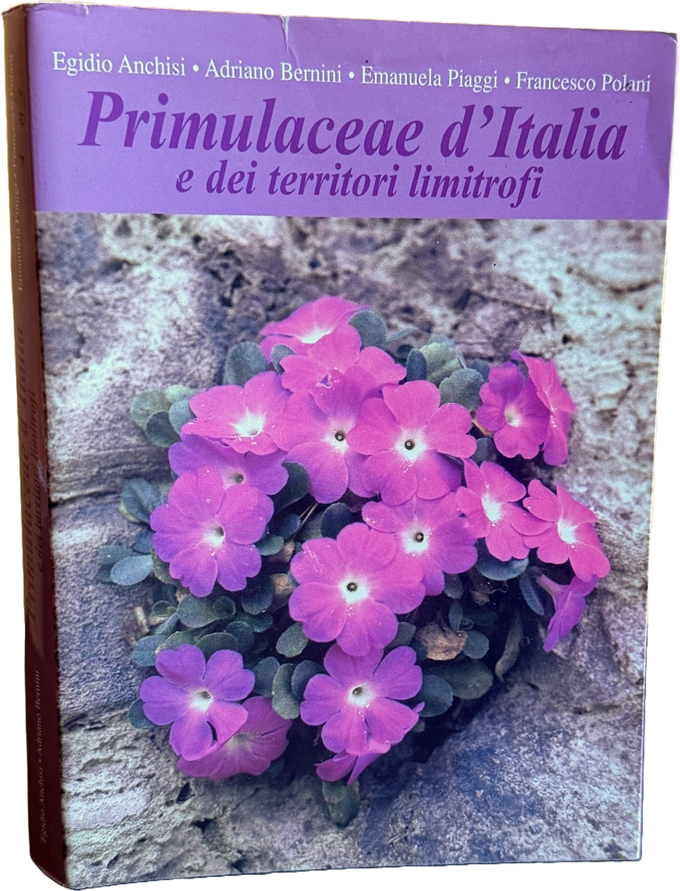 PRIMULACEAE D'ITALIA E DEI TERRITORI LIMITROFI | Immagine principale