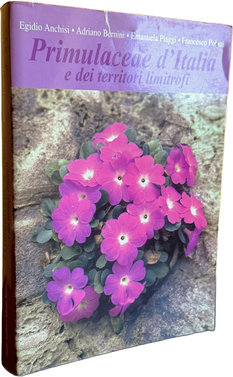PRIMULACEAE D'ITALIA E DEI TERRITORI LIMITROFI | Immagine Gallery 6