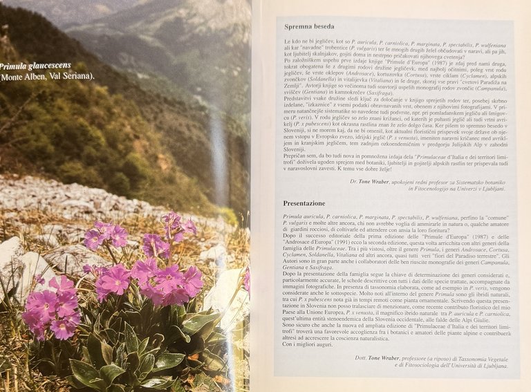 PRIMULACEAE D'ITALIA E DEI TERRITORI LIMITROFI | Immagine Gallery 9