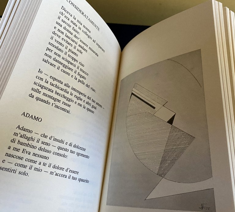 PROGETTO DI CURVA E DI VOLO. CENTO (E PIÙ) POETI …