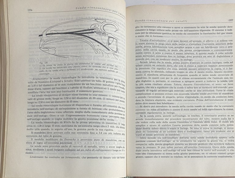 PRONTUARIO DEL MEDICO VETERINARIO. Terapia medica, chirurgica, ostetrico-ginecologica e delle …