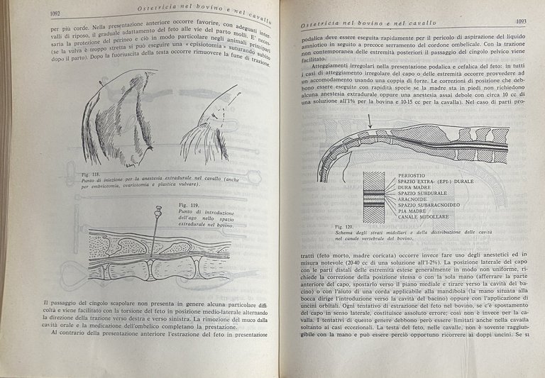 PRONTUARIO DEL MEDICO VETERINARIO. Terapia medica, chirurgica, ostetrico-ginecologica e delle …