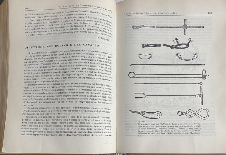 PRONTUARIO DEL MEDICO VETERINARIO. Terapia medica, chirurgica, ostetrico-ginecologica e delle …