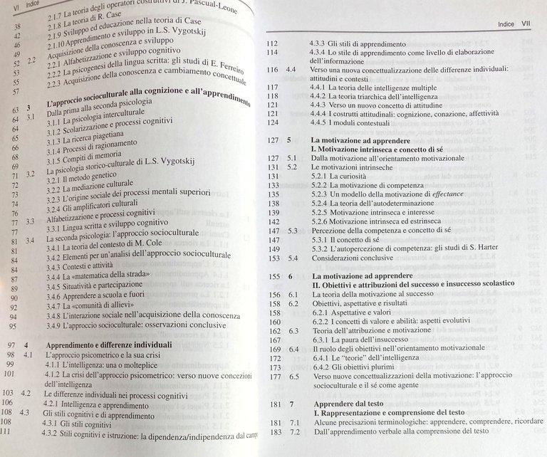 PSICOLOGIA DELL'APPRENDIMENTO SCOLASTICO. ASPETTI COGNITIVI E MOTIVAZIONALI