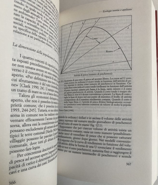 QUANTE PERSONE POSSONO VIVERE SULLA TERRA? | Immagine Gallery 16