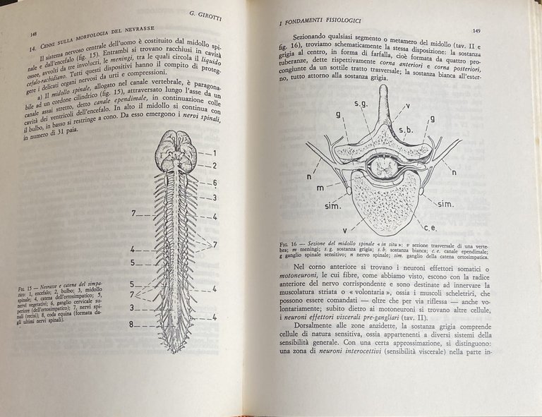 QUESTIONI DI PSICOLOGIA. PRINCIPI E APPLICAZIONI PER PSICOLOGI, MEDICI, INSEGNANTI …