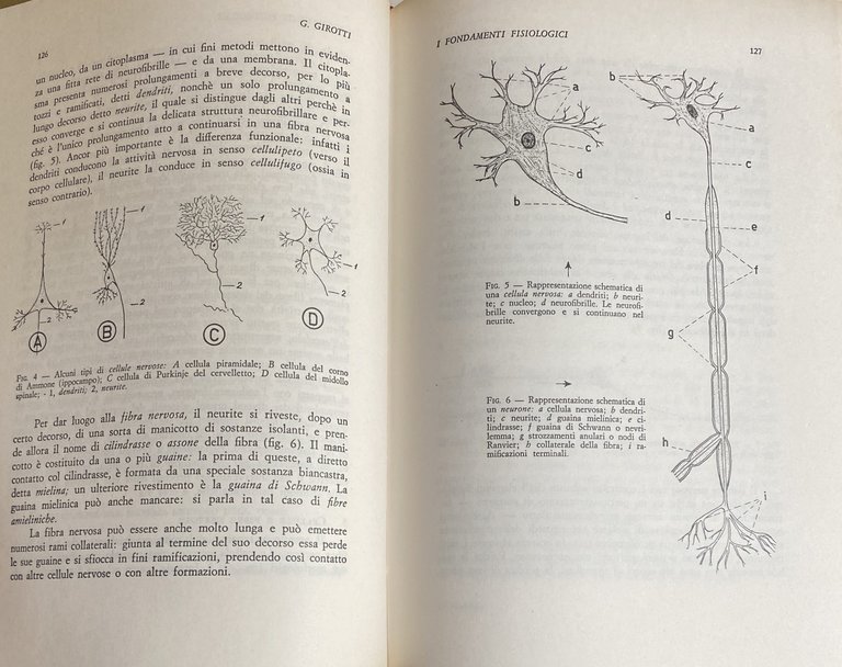 QUESTIONI DI PSICOLOGIA. PRINCIPI E APPLICAZIONI PER PSICOLOGI, MEDICI, INSEGNANTI …