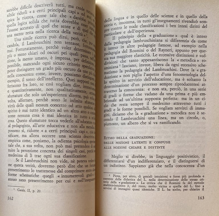 RAFFAELLO LAMBRUSCHINI E LA PEDAGOGIA ITALIANA DELL'OTTOCENTO