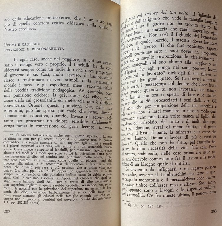 RAFFAELLO LAMBRUSCHINI E LA PEDAGOGIA ITALIANA DELL'OTTOCENTO