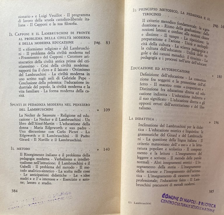 RAFFAELLO LAMBRUSCHINI E LA PEDAGOGIA ITALIANA DELL'OTTOCENTO