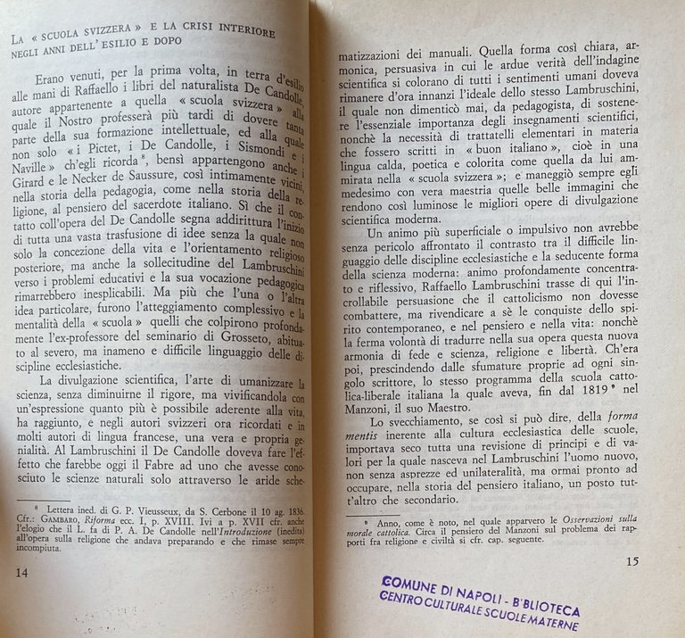 RAFFAELLO LAMBRUSCHINI E LA PEDAGOGIA ITALIANA DELL'OTTOCENTO